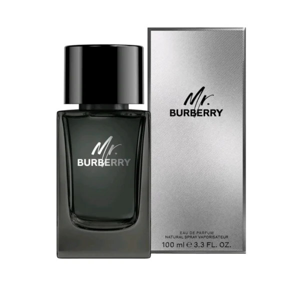 BURBERRY MR BURBERRY MEN X100V EDP